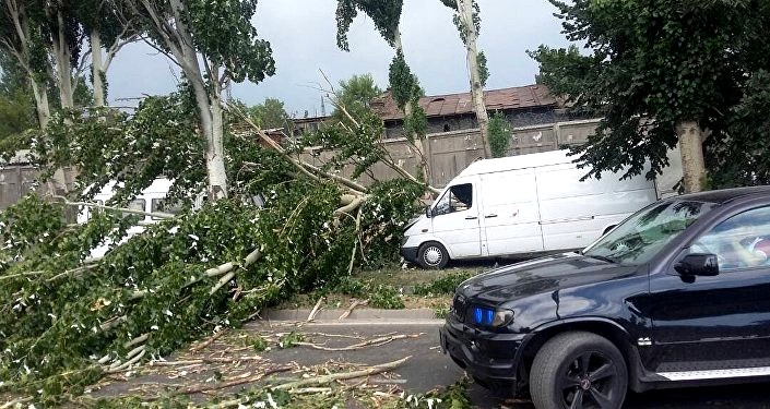 Ураган в Бишкеке